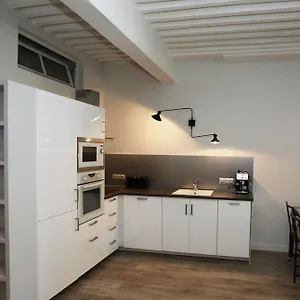 55 M2 With Big Terrace In Downtown Appartement